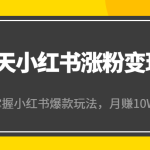 21天小红书涨粉变现营（第4期）：带你掌握小红书爆款玩法，月赚10W+秘密