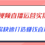 短视频直播运营实操班，直播带货精细化运营实操，教你快速打造赚钱直播间