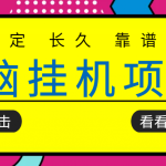 挂机项目追求者的福音，稳定长期靠谱的电脑挂机项目，实操五年，稳定一个月几百