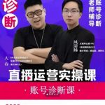 风清扬大春《直播带货运营实操课》，班级账号诊断课价值3980元