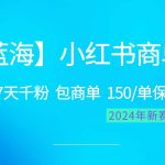 （10232期）2024蓝海项目【小红书商单】超级简单，快速千粉，最强蓝海，百分百赚钱