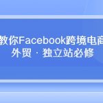 （10259期）在这里教你Facebook跨境电商入门课，外贸·独立站必修