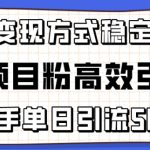 精准项目粉高效引流术，新手单日引流50+，多重变现方式稳定赚钱