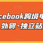 脸书Facebook跨境电商入门课，外贸·独立站必修