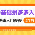 （10299期）新人0基础拼多多入门，​纯小白快速入门多多（21节课）
