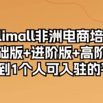 （10374期）kilimall非洲电商培训，基础版+进阶版+高阶版 从0-1个人可入驻的平台-12节