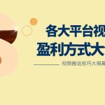 利用搬运二创在各大短视频平台获得收益，各大平台视频盈利方式大合集