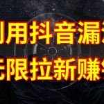 利用抖音链接漏洞，无限拉新赚钱【漏洞原理+操作流程】