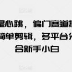 玩的就是心跳，偏门赛道掘金，视频搬运简单剪辑，多平台分发，适合新手小白