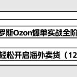 俄罗斯Ozon爆单实战全阶体系课，零基础轻松开启海外卖货（12节课）