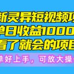 （10542期）最新灵异短视频项目，单日收益1000+看了就会的项目，简单好上手可放大操作