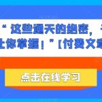 他们说 “ 这些通天的绝密，千万不能让你掌握! ”【付费文章】