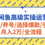 （10711期）2024闲鱼高级实操运营课程：开店/养号/选择爆款/引流/月入2万/全流程