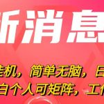 （10800期）最新电脑挂机，简单无脑，日入2000+适合新手小白个人可矩阵，工作室模…