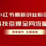 （10789期）小红书最新创业粉引流，黑科技引爆全网流量裂变，简单操作长期吸粉