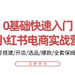 （10757期）0基础快速入门-小红书电商实战营：账号搭建/开店/选品/爆款/全套保姆教程