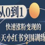 28天小红书突围训练营，从0到1快速涨粉变现