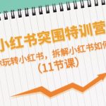 小红书突围特训营，拆解小红书如何赚钱，带你玩转小红书（11节课）