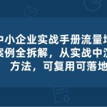 （10889期）中小 企业 实操手册-流量增长案例拆解，从实操中沉淀方法，可复用可落地