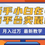 （10978期）新手小白在电商平台卖鼠标月入过万，最新赚钱教学