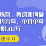 抖音实训训练营，教你如何做一个赚钱的抖音号，单日单号增粉30万