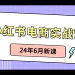 小红书电商实战营：小红书笔记带货和无人直播，24年6月新课