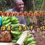 （11030期）奥德彪经典语录小项目，爆款推荐，易上手，收益高
