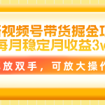 （11010期）最新视频号带货掘金项目，每月稳定月收益3w+，解放双手，可放大操作
