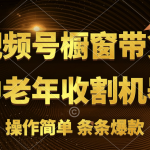 （11009期）视频号最火爆赛道，橱窗带货，流量分成计划，条…