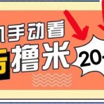 （11051期）新平台看广告单机每天20-30＋，无任何门槛，安卓手机即可，小白也能上手