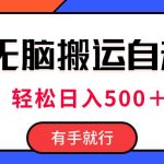 （11039期）最新抖音视频搬运自动变现，日入500＋！每天两小时，有手就行