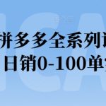 2024拼多多全系列课程实操，日销0-100单实操【必看】