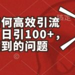 小红书如何高效引流创业粉，日引100+，解决你遇到的问题
