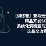 （11210期）【训练营】亚马逊爆款打造之精品开发SOP，系统化洞察亚马逊精品选品全流程