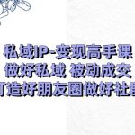 （11209期）私域IP-变现高手课：做好私域 被动成交，打造好朋友圈做好社群（18节）