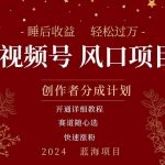 （11331期）拥有睡眠收益的微信视频号大风口项目，轻松月入过万+，多赛道选择，可…