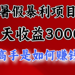 暑假暴力项目 1天收益3000+，视频号，快手，不露脸直播.次日结算