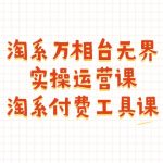（11320期）淘系-万相台无界实操运营课：淘系 付费工具课（40节课）