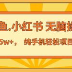 （11524期）2024最赚钱的项目，咸鱼，小红书无脑操作，每单利润500+，轻松月入5万+…