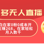 （11521期）拼多多无人直播，小白在家0粉0成本开播立赚268，在家轻松月入数千