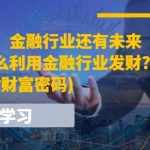某付费文章：金融行业还有未来吗?普通人怎么利用金融行业发财?(附财富密码)